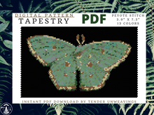 Load image into Gallery viewer, Comostola Meritaria Moth Tapestry PDF Download

