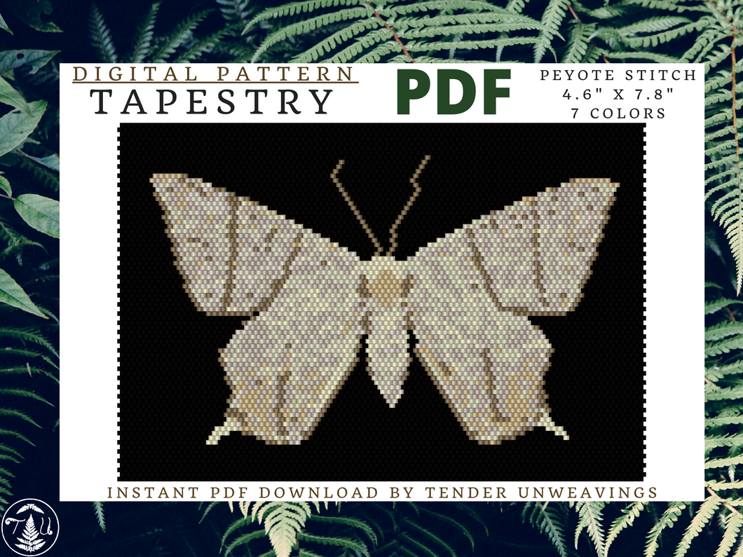 Swallowtail Moth Open Wings Tapestry PDF Download